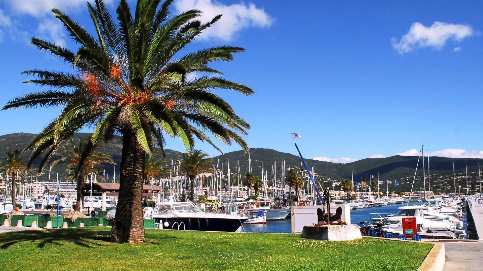 Apartment Les Hesperides-3 By Interhome Cavalaire-sur-Mer
